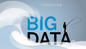 大數據服務的崛起 機遇、挑戰與深遠影響